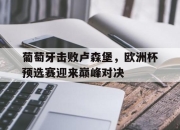 开云在线登陆入口-葡萄牙击败卢森堡，欧洲杯预选赛迎来巅峰对决