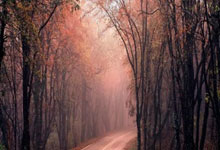 开云在线登陆入口-穆雷焦点对战，Rookie与50激战日本队分钟，比赛规则变更胜负难料！